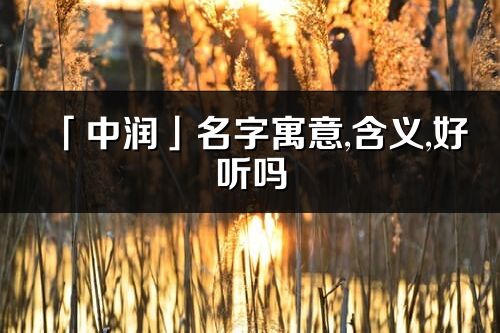 「中润」名字寓意,含义,好听吗_中润名字分析打分