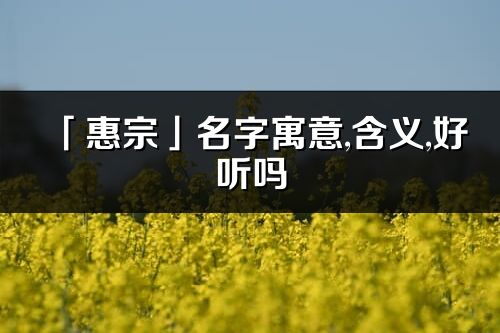「惠宗」名字寓意,含义,好听吗_惠宗名字分析打分