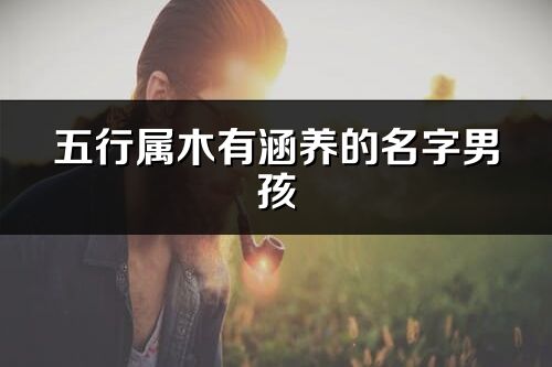 五行属木有涵养的名字男孩