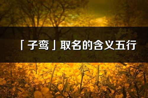 「子鸾」取名的含义五行_子鸾名字寓意解释