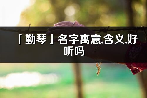 「勤琴」名字寓意,含义,好听吗_勤琴名字分析打分