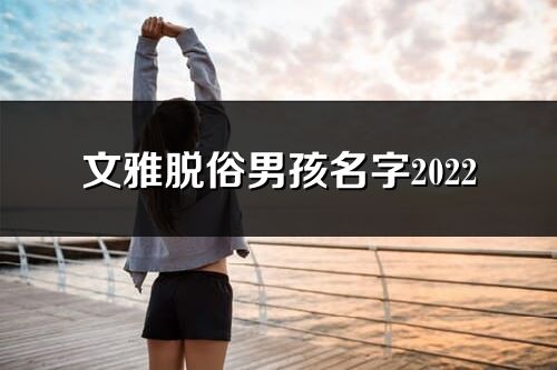 文雅脱俗男孩名字2022