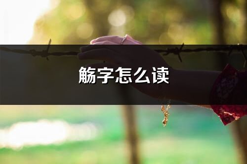觞字怎么读_觞的读音