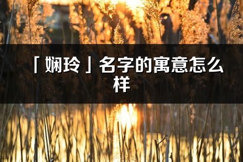 「娴玲」名字的寓意怎么样_娴玲的出处