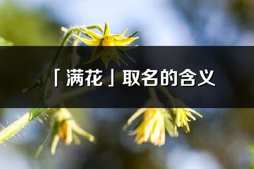 「满花」取名的含义_满花名字寓意解释