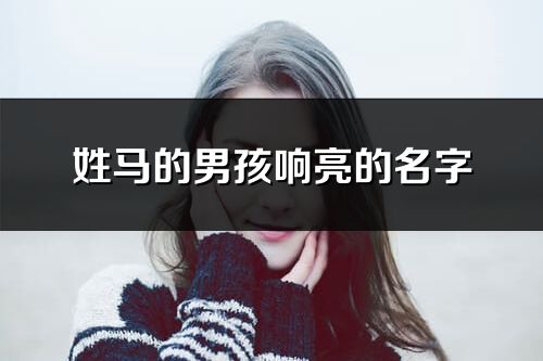 姓马的男孩响亮的名字