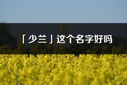 「少兰」这个名字好吗_少兰名字寓意,含义