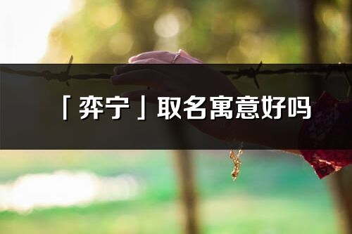 「弈宁」取名寓意好吗_弈宁名字含义及五行