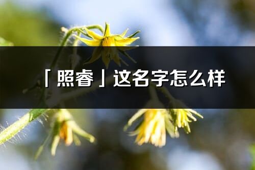「照睿」这名字怎么样_照睿的名字解释