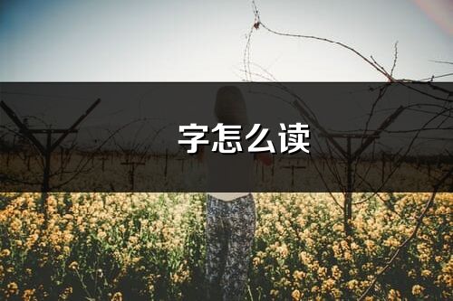 燊字怎么读_燊的读音