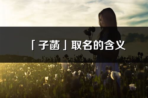 「子菡」取名的含义_子菡名字寓意