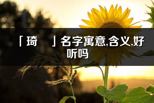 「琦彧」名字寓意,含义,好听吗_琦彧名字分析打分