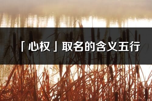 「心权」取名的含义五行_心权名字寓意解释