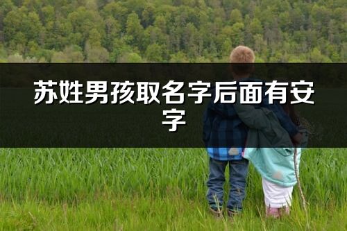 苏姓男孩取名字后面有安字