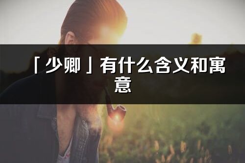 「少卿」有什么含义和寓意_少卿名字的出处与意思