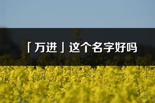 「万进」这个名字好吗_万进名字寓意,含义