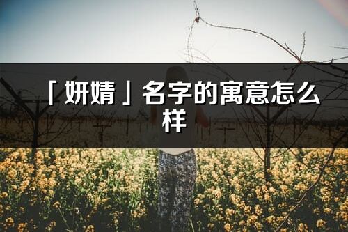 「妍婧」名字的寓意怎么样_妍婧的出处