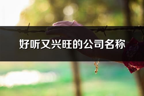 好听又兴旺的公司名称