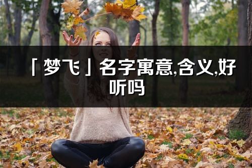 「梦飞」名字寓意,含义,好听吗_梦飞名字取名打分