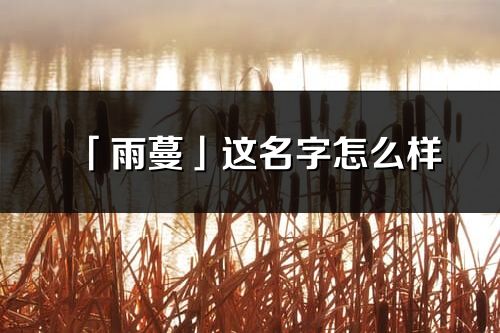「雨蔓」这名字怎么样_雨蔓的名字解释