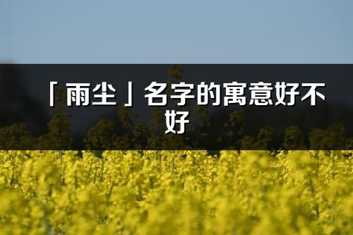 「雨尘」名字的寓意好不好_雨尘含义分析