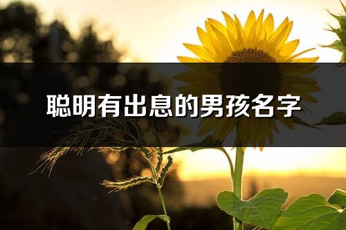 聪明有出息的男孩名字