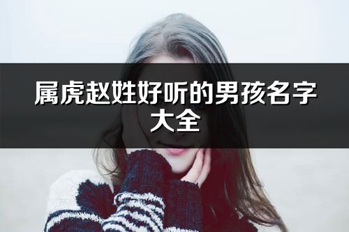 属虎赵姓好听的男孩名字大全