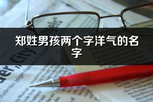 郑姓男孩两个字洋气的名字