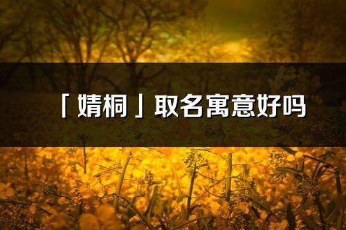 「婧桐」取名寓意好吗_婧桐名字含义及寓意