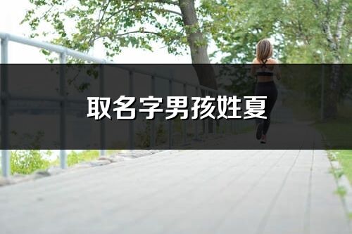 取名字男孩姓夏