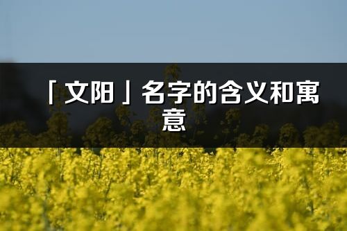 「文阳」名字的含义和寓意_文阳的出处与意思解释