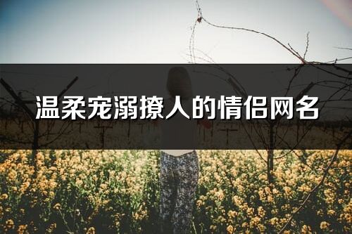 温柔宠溺撩人的情侣网名