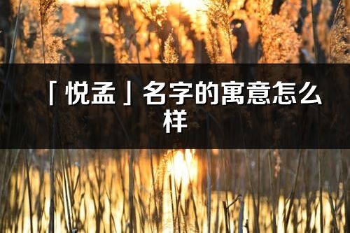 「悦孟」名字的寓意怎么样_悦孟的出处