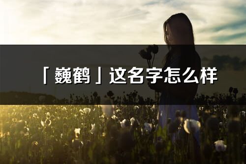 「巍鹤」这名字怎么样_巍鹤的名字解释