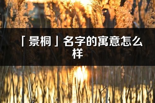 「景桐」名字的寓意怎么样_景桐的出处