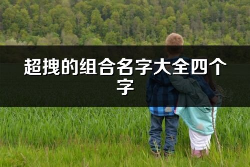 超拽的组合名字大全四个字(精选222个)