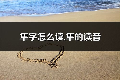 隼字怎么读,隼的读音