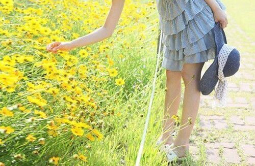 最酷最可爱的女生网名(328个)