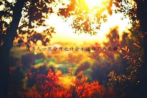 吉祥雅致的小院名字(优选35个)