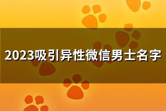 2023吸引异性微信男士名字(共1533个)
