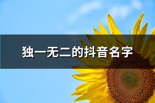 独一无二的抖音名字(共962个)