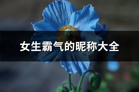女生霸气的昵称大全(共861个) 女生霸气的昵称大全(共861个)