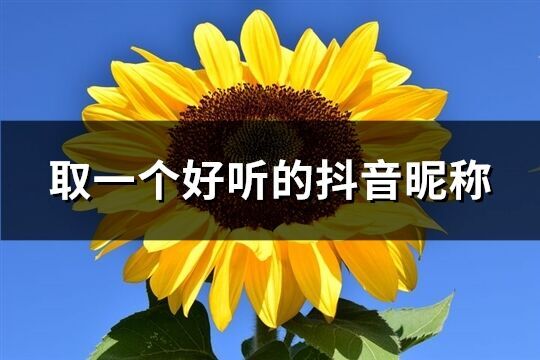 取一个好听的抖音昵称(优选900个)
