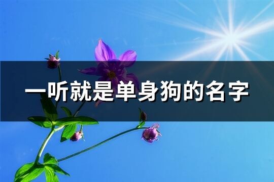 一听就是单身狗的名字(431个)