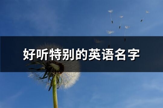 好听特别的英语名字(精选180个)
