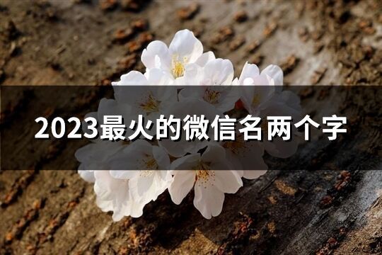 2023最火的微信名两个字(精选1390个)