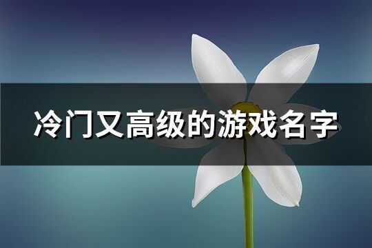 冷门又高级的游戏名字(优选473个)