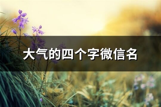 大气的四个字微信名(精选368个)