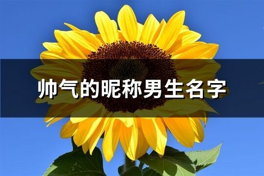 帅气的昵称男生名字(824个)