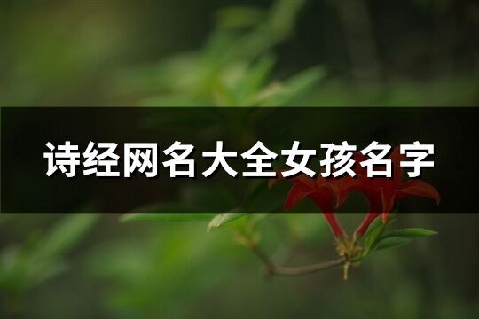 诗经网名大全女孩名字(62个)